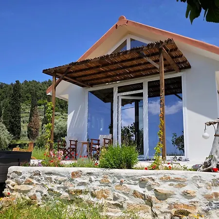 Holiday home Anny S House Skopelos Town