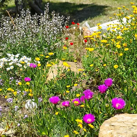 Holiday home Anny S House Skopelos Town